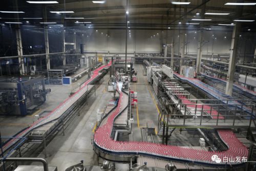 優(yōu)化營商環(huán)境助力企業(yè)發(fā)展 臨江市礦泉飲品產(chǎn)業(yè)動(dòng)能強(qiáng)勁與技術(shù)推廣服務(wù)